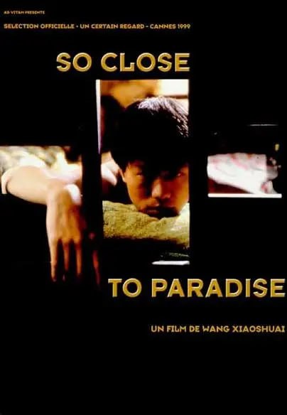 扁担·姑娘 1998(全集)