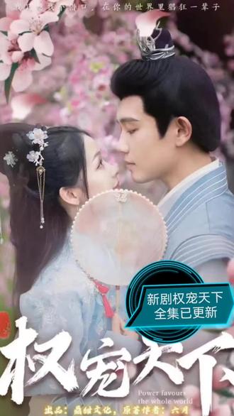 权宠天下 1-10集