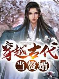 穿越古代当赘婿 21-40集