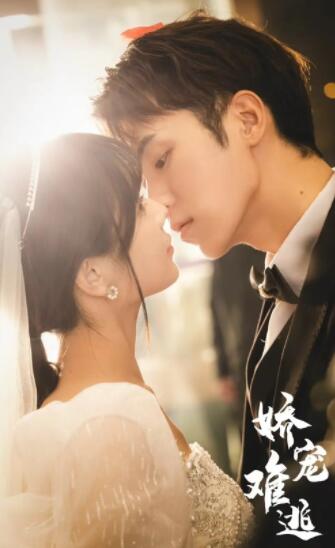 娇妻难逃 1-20集