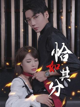 恰如其分 21-40集