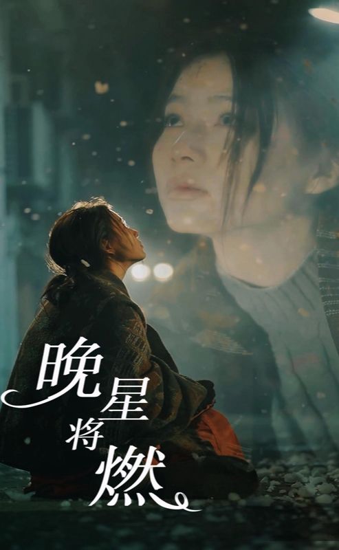 晚星将燃 21-40集