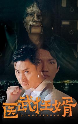 医武狂婿 21-40集