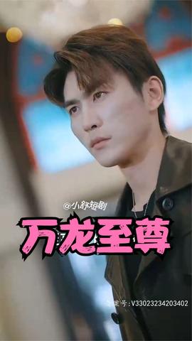 万龙至尊 全集(大结局)