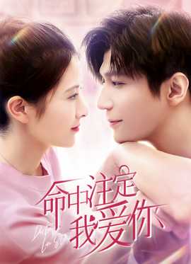 我爱你命中注定 全集(大结局)