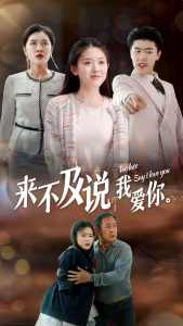 来不及说我爱你短剧 全集(大结局)