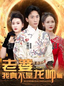 老婆我真不是龙帅啊 全集(大结局)