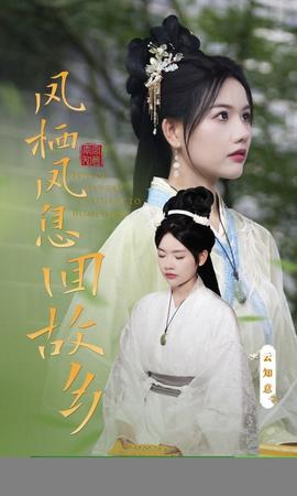 凤栖凤息回故乡 全集(大结局)