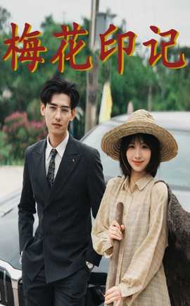 梅花印记 全集(大结局)