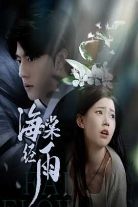 海棠经雨 全集(大结局)