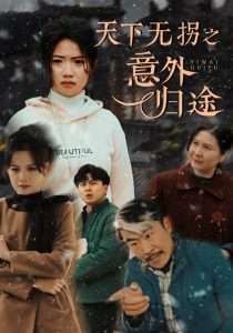 天下无拐之意外归途 全集(大结局)