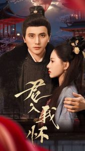 君入我怀 全集(大结局)