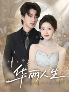 华丽人生 全集(大结局)