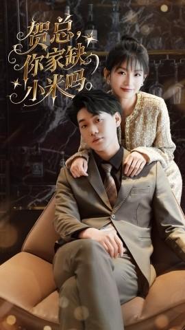 贺总你家缺小米吗 全集(大结局)