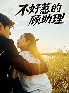 不好惹的顾助理(全集)