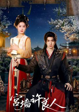 宫墙许良人 全集(大结局)