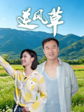 逆风草
