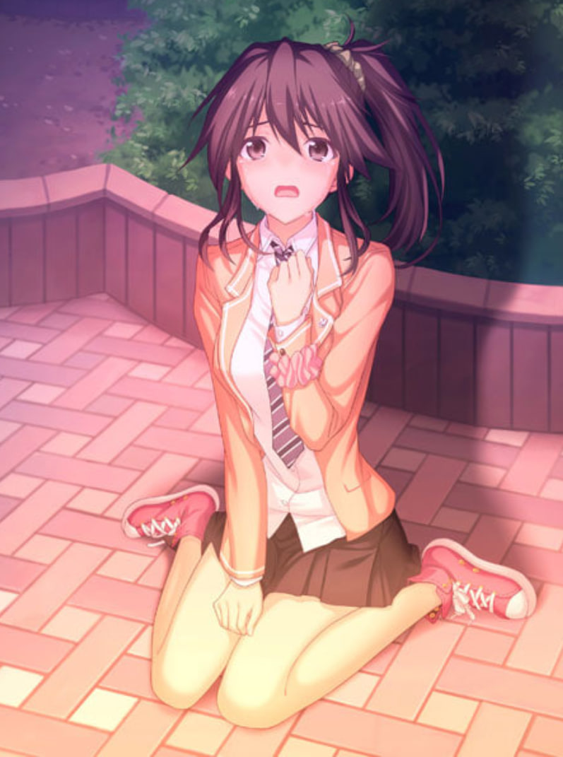 少女的回忆(全集)